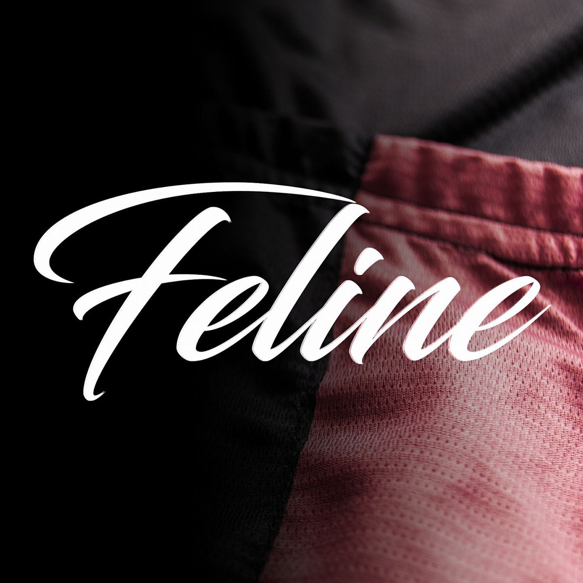 FelineEcuador's tweet photo. Cada nuevo año trae nuevos retos, nuevos momentos, nuevas historias que contar
#ridefeline #cycling #cyclinglife #cyclingwear #cyclingdesign https://t.co/3QC8pMYeyL