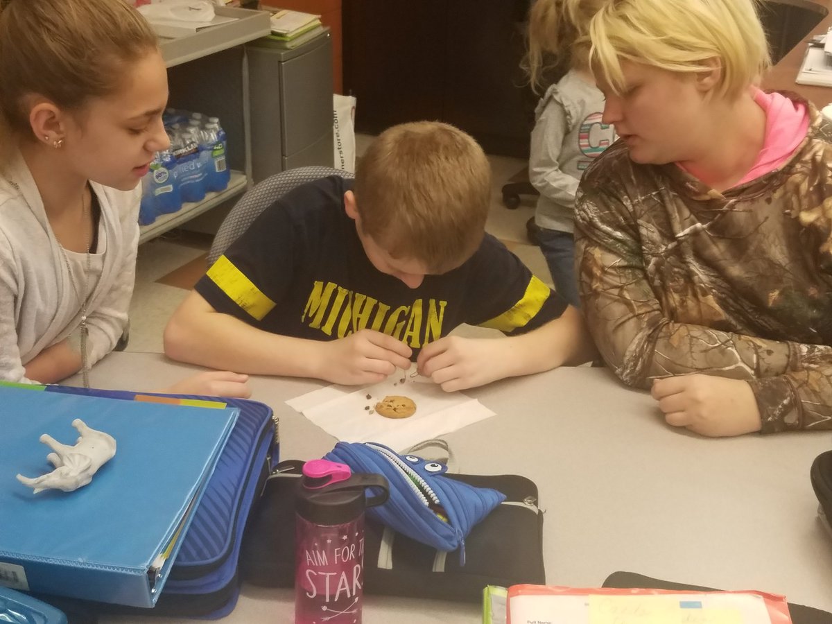 amhamrick1's tweet photo. More open cut mining pics #6thgrscience #otsegoknights #ojhs https://t.co/1Ixjq2G32O