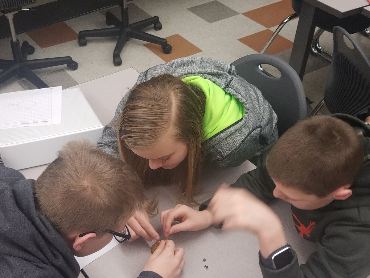 amhamrick1's tweet photo. More open cut mining pics #6thgrscience #otsegoknights #ojhs https://t.co/1Ixjq2G32O