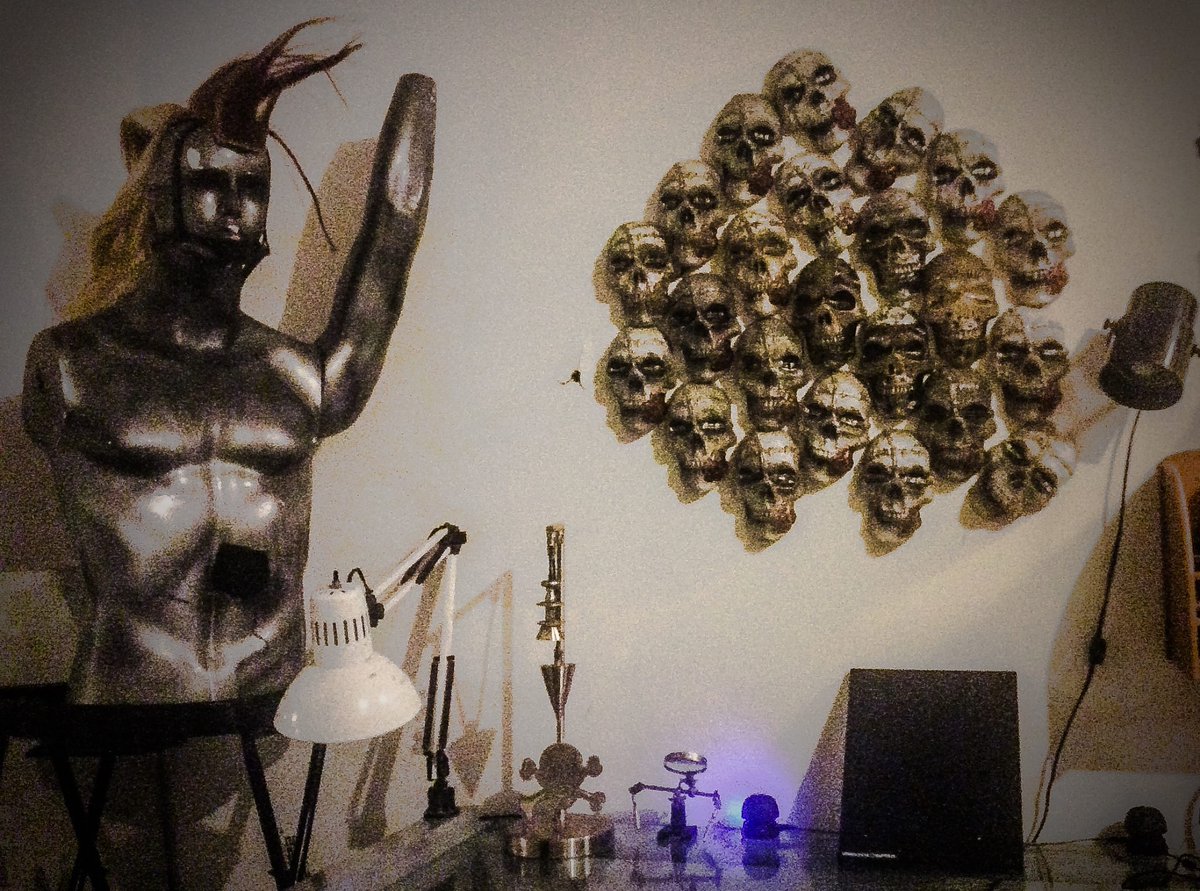 OdditiesRandom's tweet image. And the skulls were hung on the wall with care...