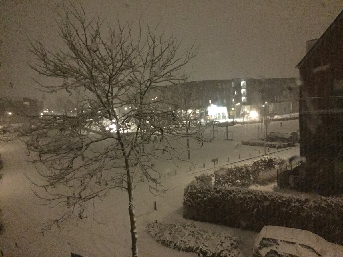 miloudebruijn's tweet photo. @BlackbirdsBooks Ik had precies hetzelfde! Zo mooi nu nog, zonder dat alle auto’s het tot moes hebben gereden! ❄️🌨☃️ https://t.co/cnIxM4RzyL
