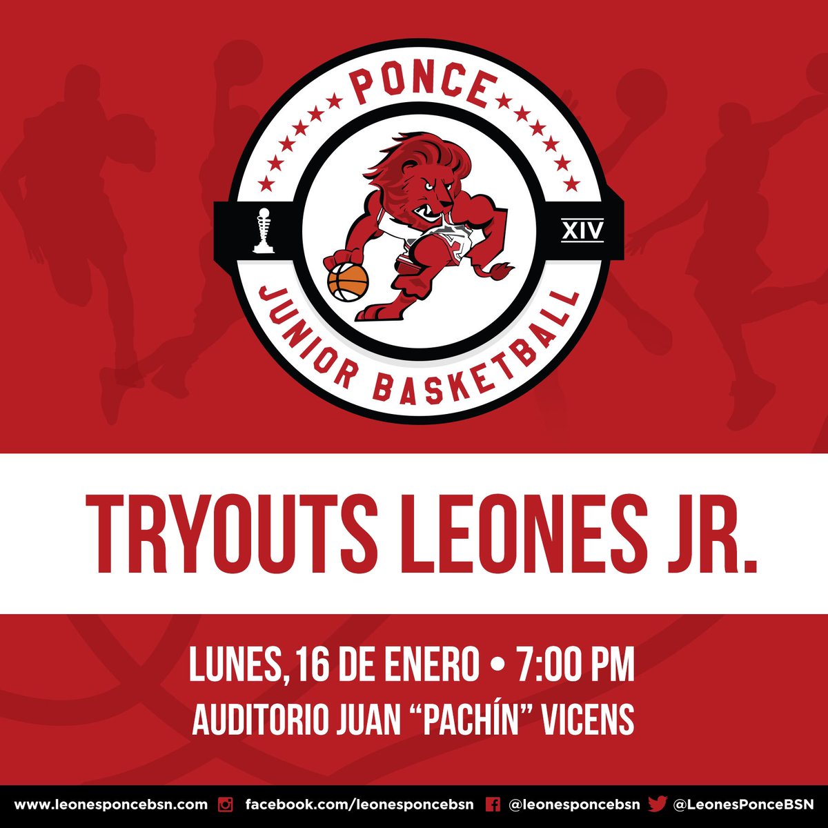 Leones de Ponce BSN tweet media