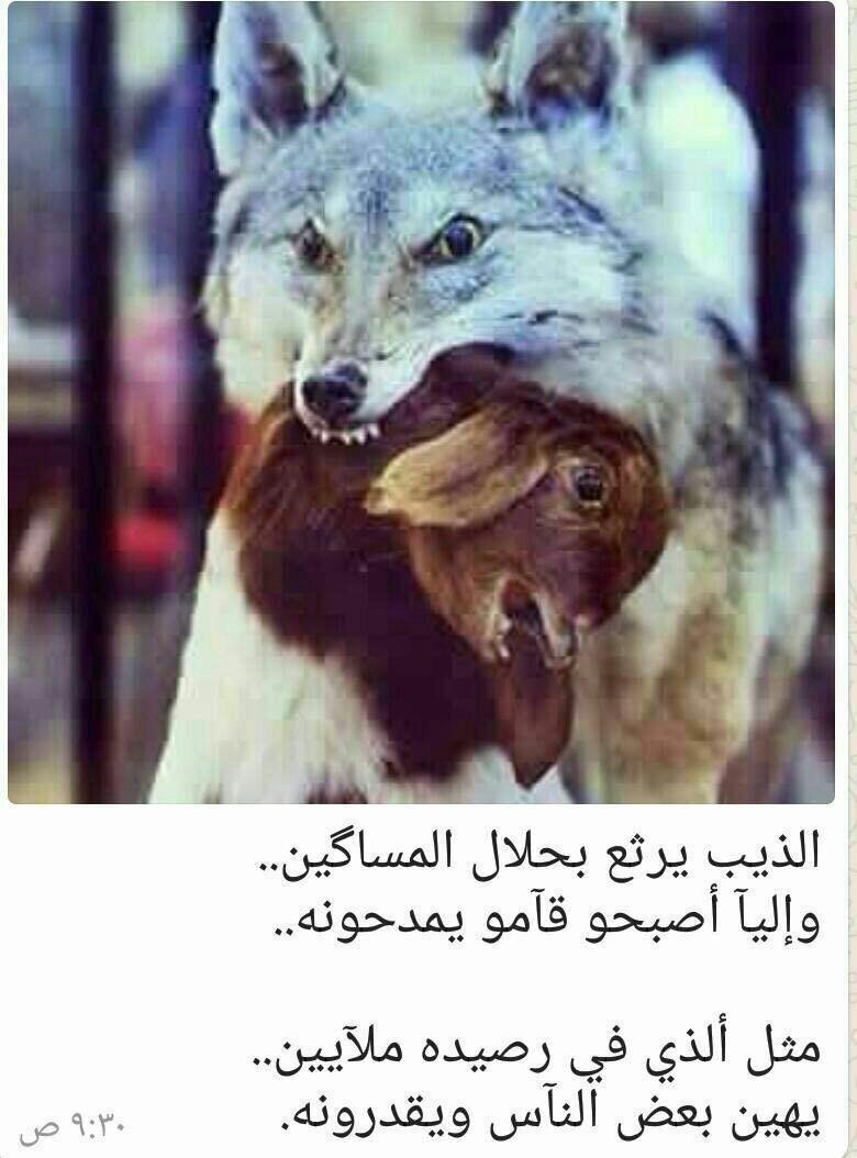 aad3200771's tweet photo. https://t.co/3UjcFxQsIO