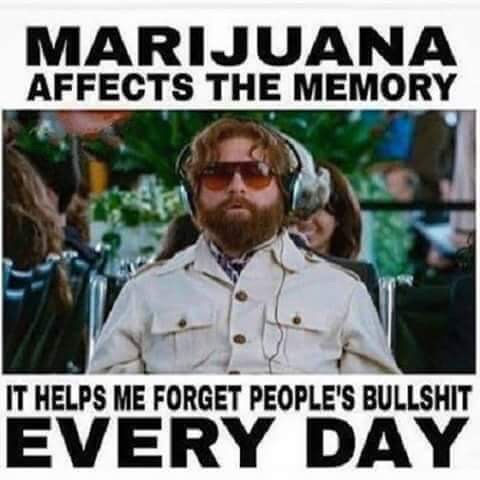 McBingCo's tweet photo. #cannabis #mcbing #edibles #oregongrown https://t.co/ijiNysMomy