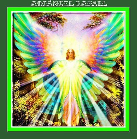 🌲@nakamartinez🌲 on Twitter: 🌲@nakamartinez🌲 on Twitter: