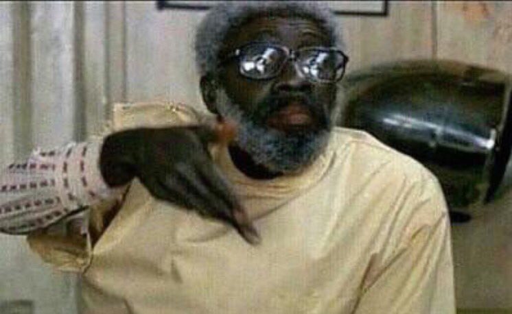 petesmyname's tweet photo. #blacktwitter 

y'all takin dis stuff 2 serious now cmon now he our prez jus sit down https://t.co/pGFiDcVNdK