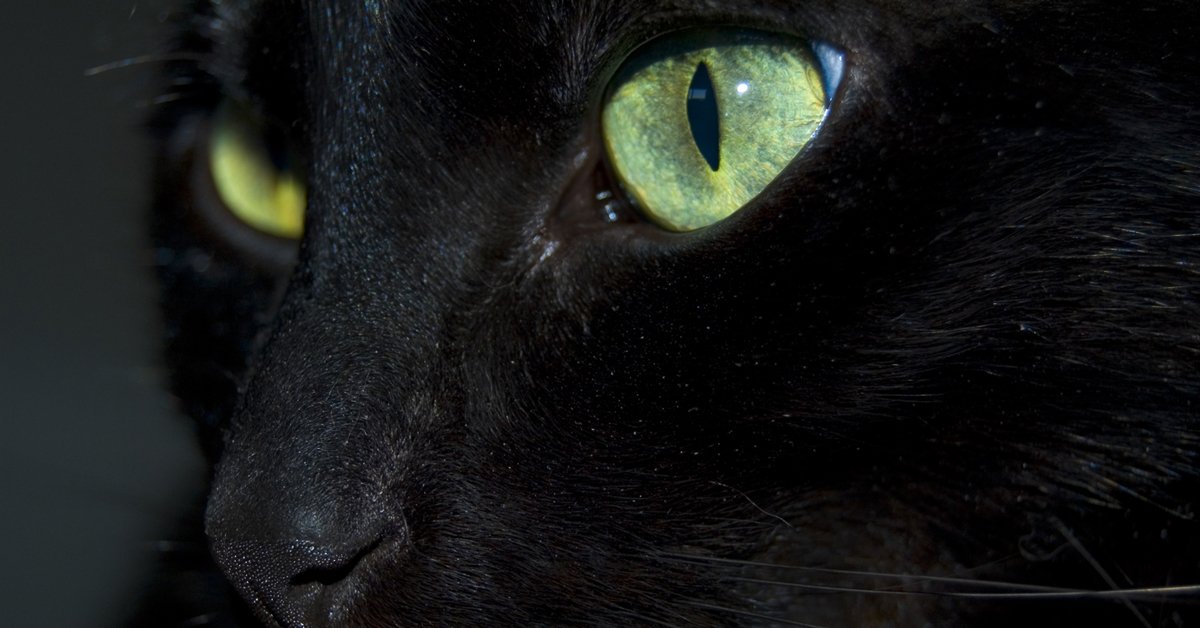 ch_times's tweet photo. Was sind deine Pläne heute? ;-) https://t.co/TbZKynKewd #friday13th https://t.co/Ik6rVQPpHx
