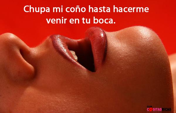 RicayExplotada's tweet photo. https://t.co/m4wpaO2SS8 #Sexo #Orgasmo #Kamasutra https://t.co/yqhGWPKyFR