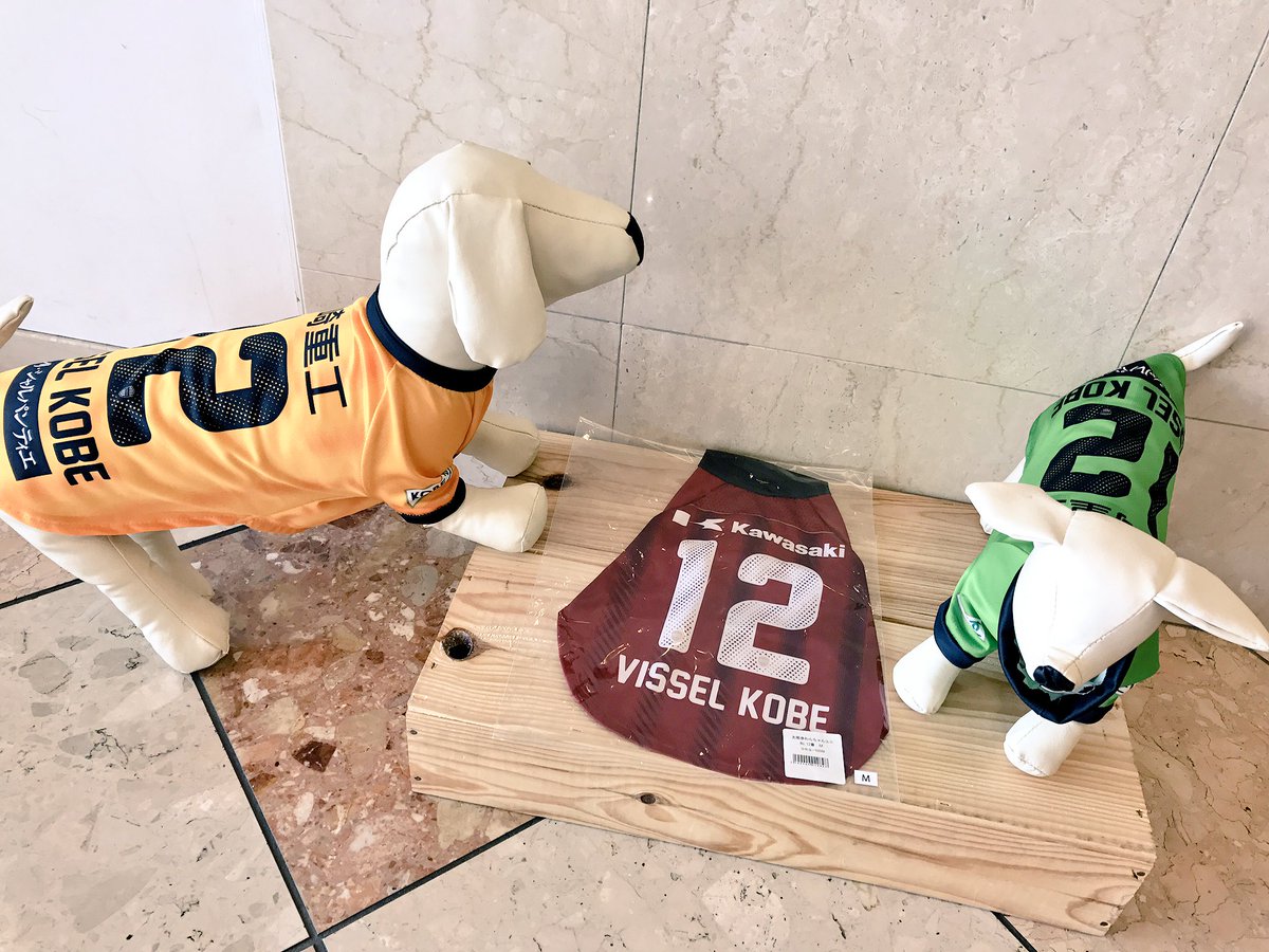 Vissel Kobe Shop こんにちは いいお天気ですね ワンちゃんを飼っている方 愛犬にもオススメ ワンちゃんユニフォーム 小型犬 小さめの中型犬用 写真ではオレンジが1番大きなサイズです ワンちゃんのお名前を入れる事も可能 是非