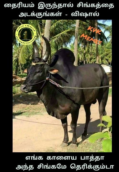 devada_moon's tweet image. 