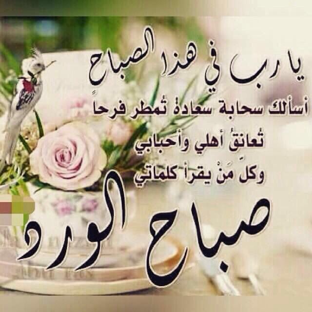 التضامن للزجاج والسكريت (@haiixogsb97t71h) on Twitter photo 