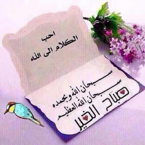 التضامن للزجاج والسكريت (@haiixogsb97t71h) on Twitter photo 