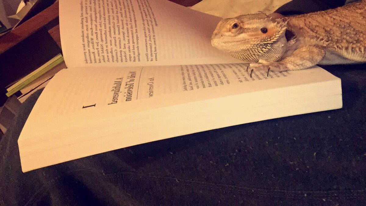 BernDoesThings's tweet image. Hard at work I loveeee to study cuz I am a smart lizard hehe