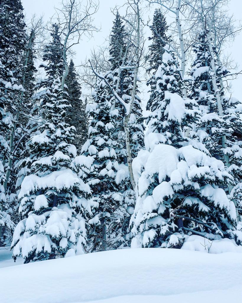 A little slice of heaven #BrightonResort