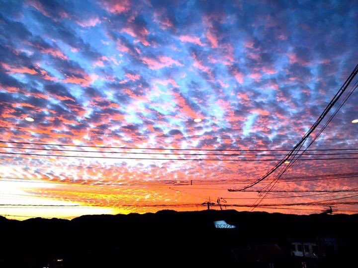 juno (@juno_jp) on Twitter photo 