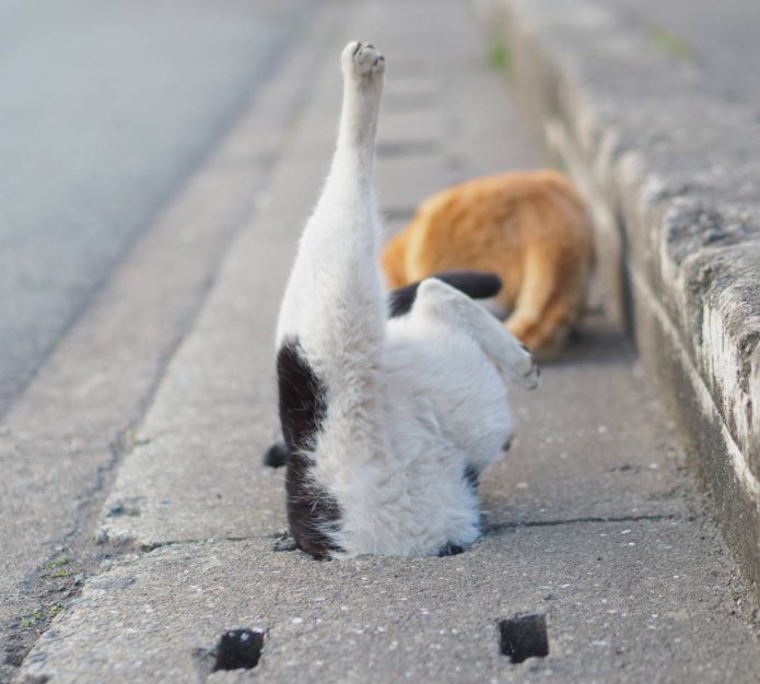 symbolizeidea's tweet photo. กูนั่งขำรูปนี้นานมาก555555555555 https://t.co/TLz5JRT9ov