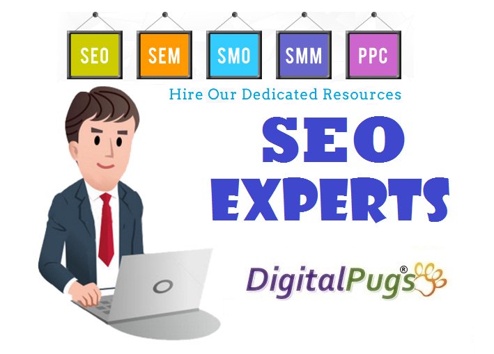 digitalpugs's tweet photo. Get optimum & efficient traffic on your #website. Consult #SEO experts at #DigitalPugs Now. Call at +919818883238 https://t.co/h7ypiPi85k