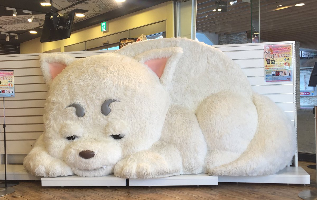 本日より開催！！ ♡『銀魂』バレンタインフェア♡ JUMP SHOP東京