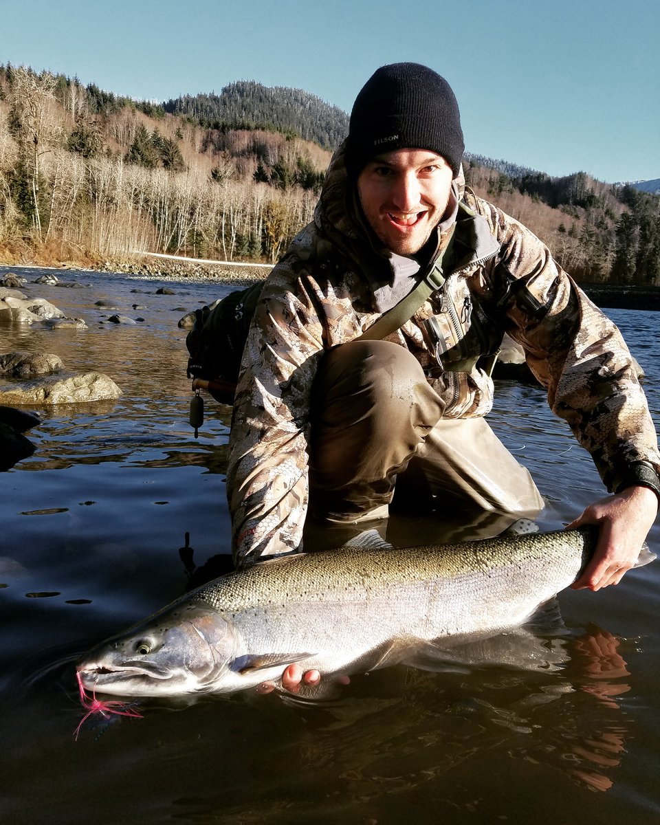 dicksonflyguide's tweet photo. Hoh river steelhead. #steelhead #flyfish  #washingtonflyfishing https://t.co/YuiSEQzh2l