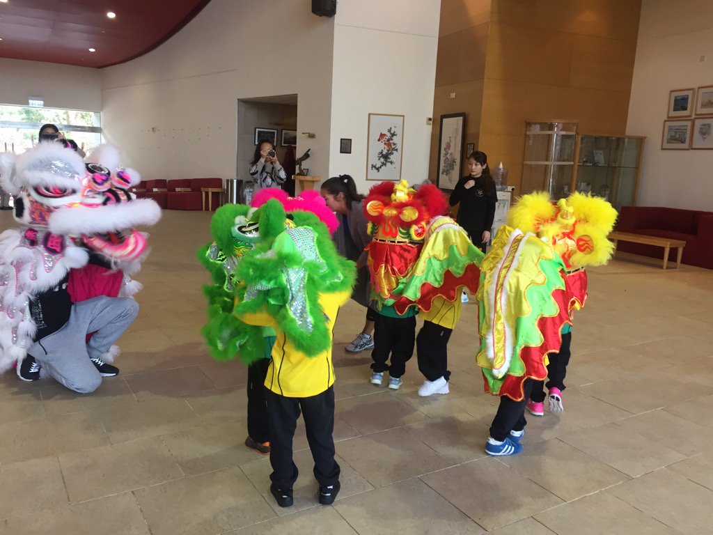 Lion dance Rec C pm. #cdnisls