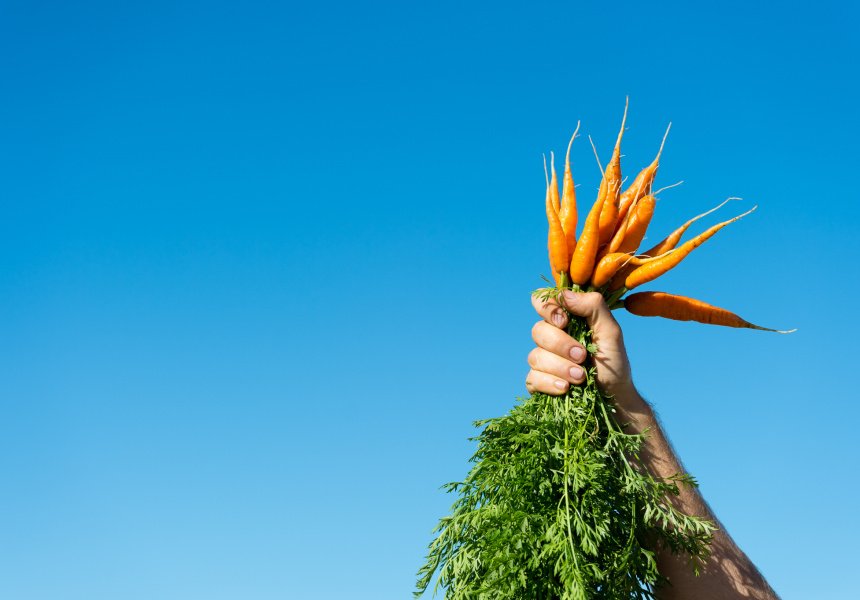 Broadsheet Adelaide tweet media