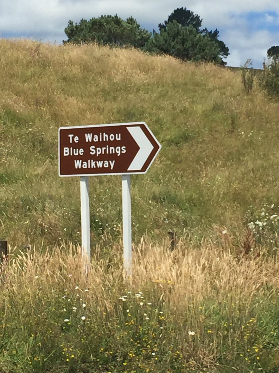 divinap's tweet photo. 3-hour drive + short trek to this South Waikato haven #bluesprings #putaruru #nzsummer https://t.co/CA1AvpoZcD