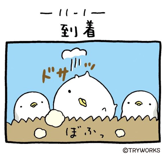 ⭐️カピバラさん⭐️様 カピバラさん【公式】 (@FROM_TRYWORKS) / Highlights / X