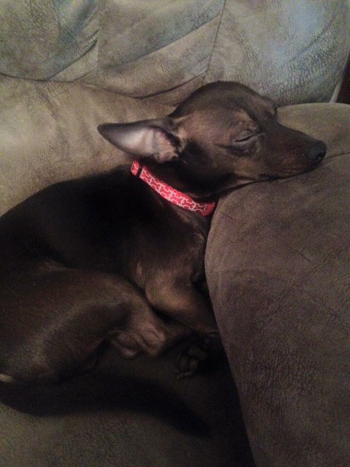 AmberRemi's tweet photo. I think Mini Cooper had the right idea during the #NintendoSwitchPresentation
#switchGA https://t.co/FmaKNZKgWK