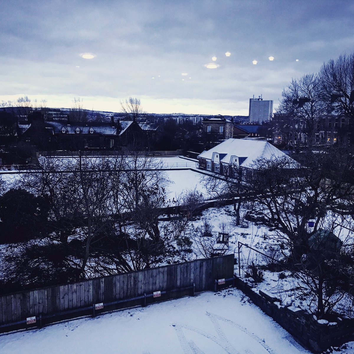 Snow day ❄️️❄️️