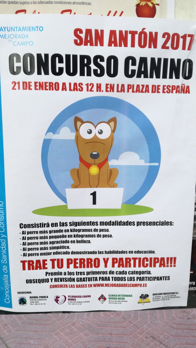 BorderCollieMag's tweet photo. Por si alguno vivis cerca y os apetece pasar un rato demostrando lo guapos que son los border collie https://t.co/BMv6p800cX