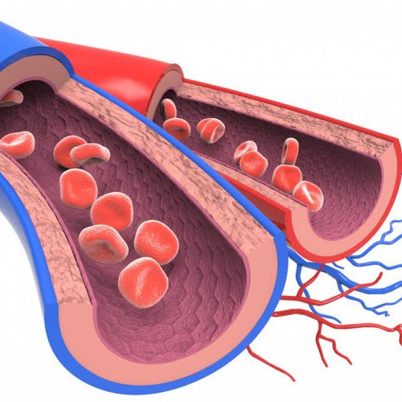 ClinicaMolinon's tweet photo. #Endolaser para tratar todo tipo de venas varicosas con mejores resultados #vena #variz #varices #flebitis #salud https://t.co/XxzUD6XQEm https://t.co/ejHrTnCAIk