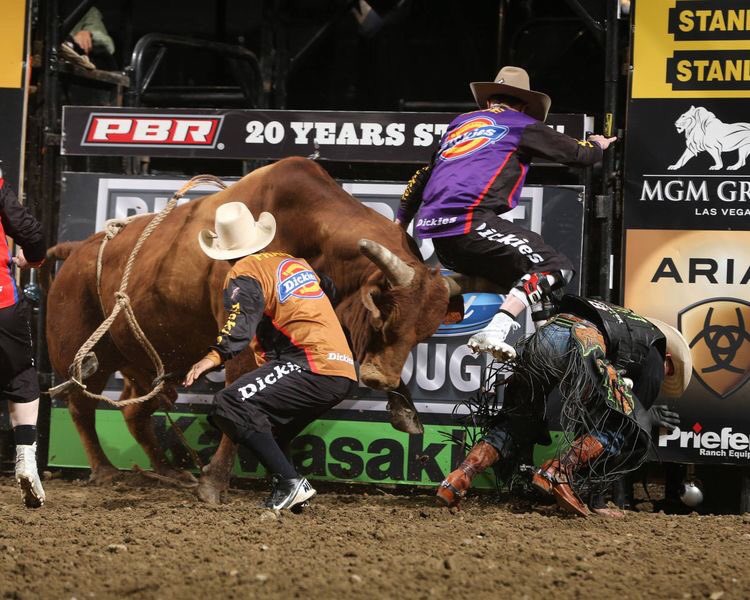 therodeotrail's tweet photo. Good Morning Everyone! Don't forget. Today's #BullfighterFriday. Thank your favorite bullfighter on Twitter today. 
#RodeoChat https://t.co/JTW8AuPxfx