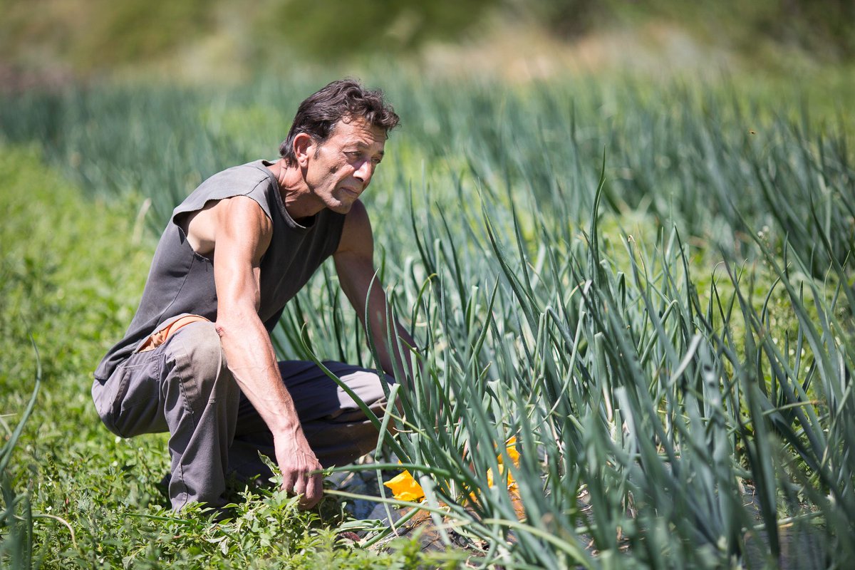 IfoodiesA's tweet photo. Az. La Motte scopri i migliori artigiani della Terra sulla App gratuita di iFoodies https://t.co/uXPXHIHbFA @CourmayeurMontB @BMWItalia https://t.co/nIsccLUdBV