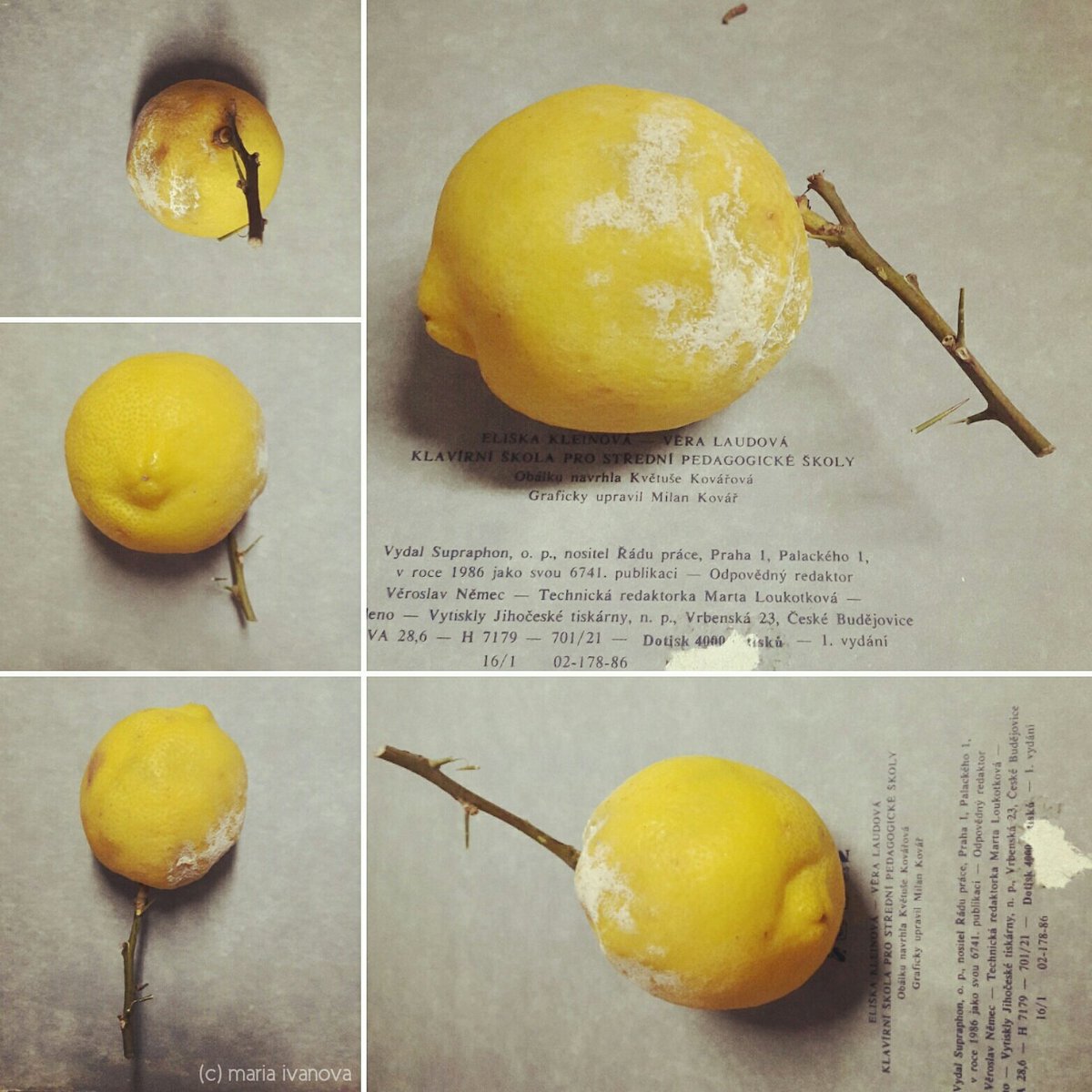 mimssodesign's tweet photo. Mapamundi o els punts de vista d'una llimona... no qualsevol, amb espines.
#bodego #naturemorte #натюрморт #mapamundi #llimona https://t.co/Cq9bvsplHK