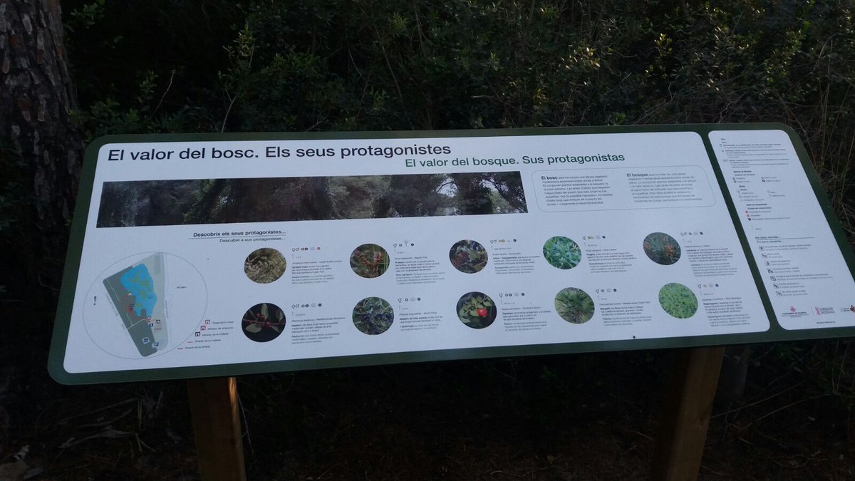 GVAparcs's tweet photo. #bondia El Centre d'Informació del Racó de L'Olla del #PNAlbufera estrena nova senyalització instal·lada per @AjuntamentVLC https://t.co/PDdLOCX7SV
