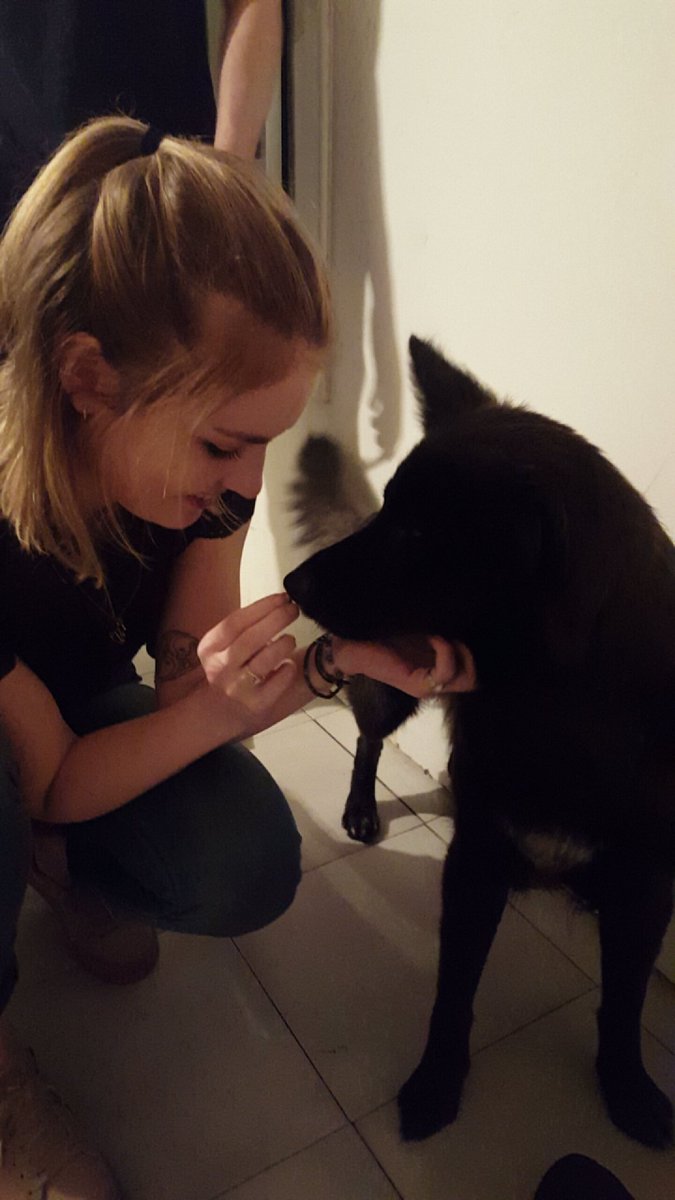 FrankieCully's tweet photo. Forever making friends with dogs ❤ #barcelonadogs #piper #loveher #drunkandinlove #bestfriends #suchagoodgirl #dogsarebetterthanpeople https://t.co/3gySswt1Ym