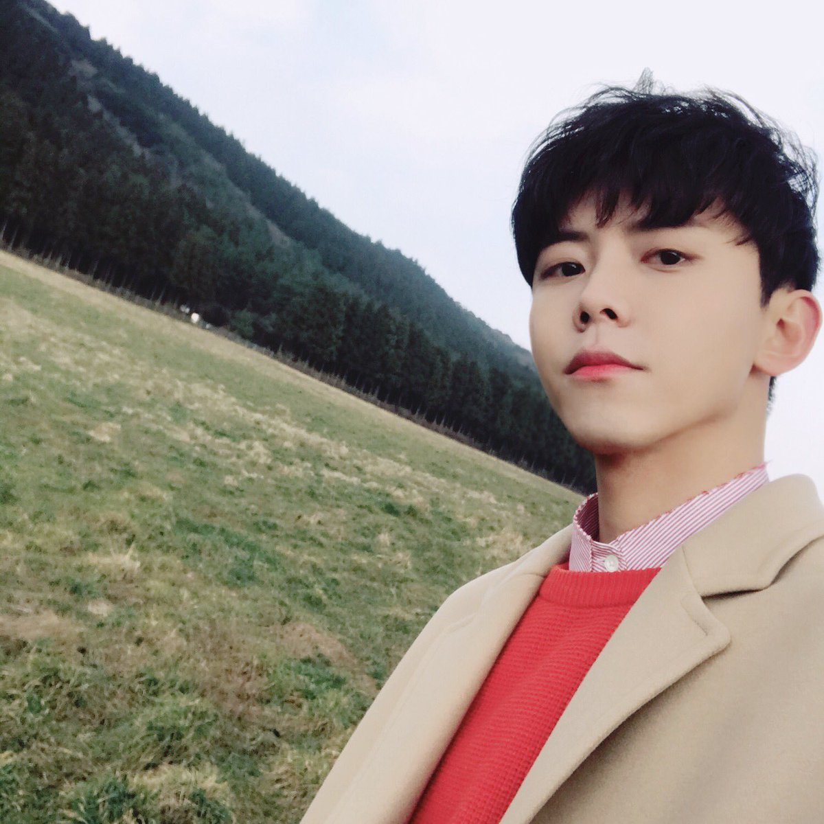 toysiesta's tweet photo. 제주도는 바람도 예쁘게 부네 https://t.co/JgeHXs8hHI