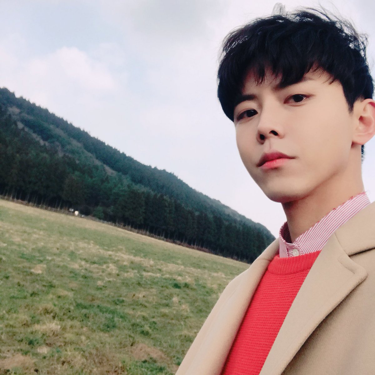 toysiesta's tweet photo. 제주도는 바람도 예쁘게 부네 https://t.co/JgeHXs8hHI