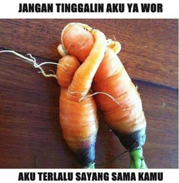 tripleK31's tweet photo. Jomblo jangan baper.. https://t.co/8CxE6e3oHq
