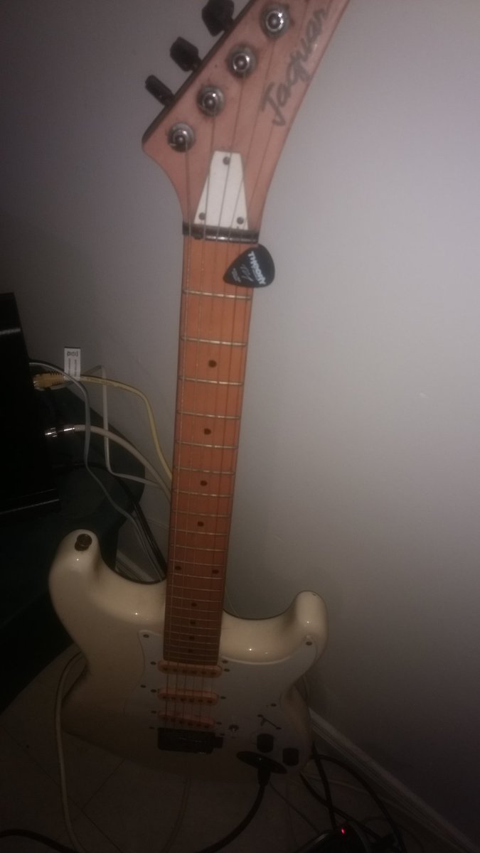 Brandi Wilson tweet media