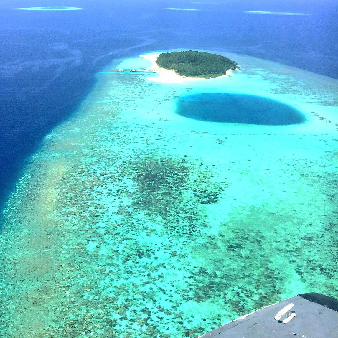 aaaVeeeParadise's tweet photo. We are #aaaVeee 🎈
#NaturesParadise 
#Maldives
https://t.co/6CowhkPenD 💚💙🇲🇻 https://t.co/V50q8mPv0x