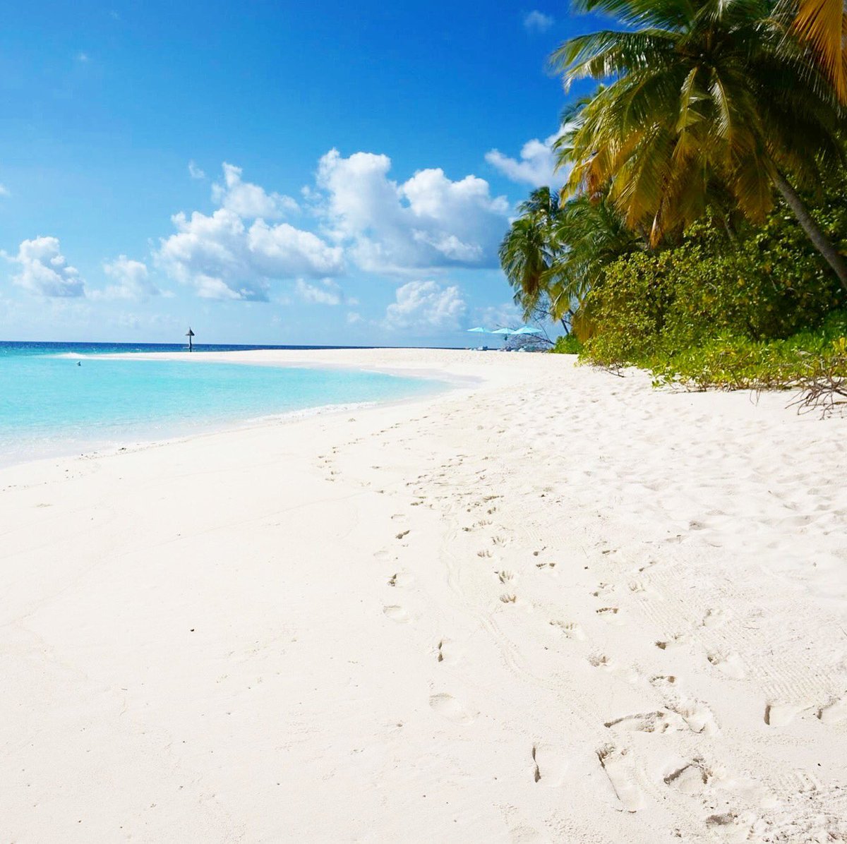 aaaVeeeParadise's tweet photo. We are #aaaVeee 🎈
#NaturesParadise 
#Maldives
https://t.co/6CowhkPenD 💚💙🇲🇻 https://t.co/V50q8mPv0x