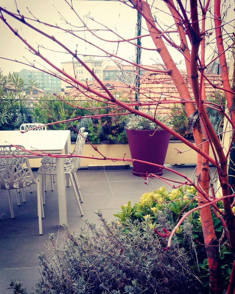 SavetheclockMi's tweet image. New project #SavetheclockDesignStudio #lighting #lightingdesign #lightingproject #outdoor #luce #benessere #residenziale #WorkinProgress