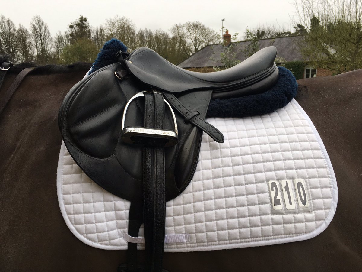 GS_Eventing's tweet image. How beaut though ???  😍😍😍 @Devoucoux