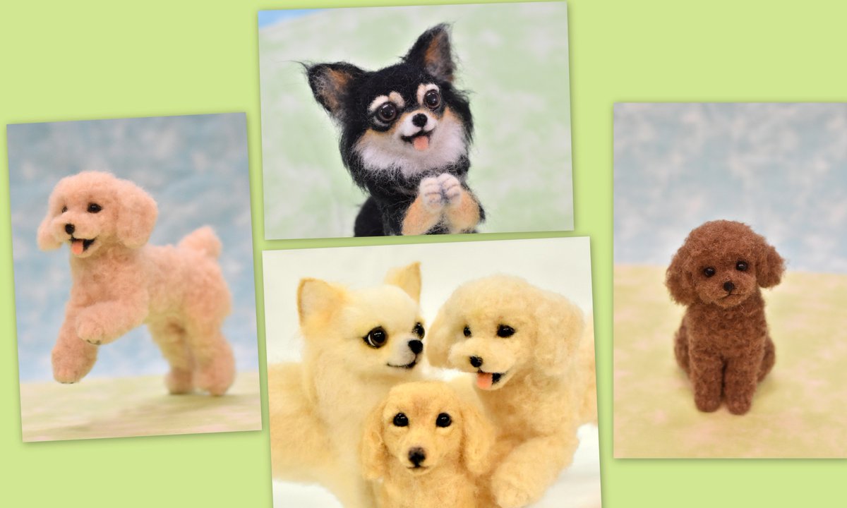 法雪needle Felted Cats En Twitter 羊毛フェルトで作る うちの子そっくり かわいいワンコ １ ２４に発売されます 本日から予約を開始しました 今回は人気犬種をメインに初心者用の本として制作しました 犬好き猫好き関係なく楽しめる内容になっています