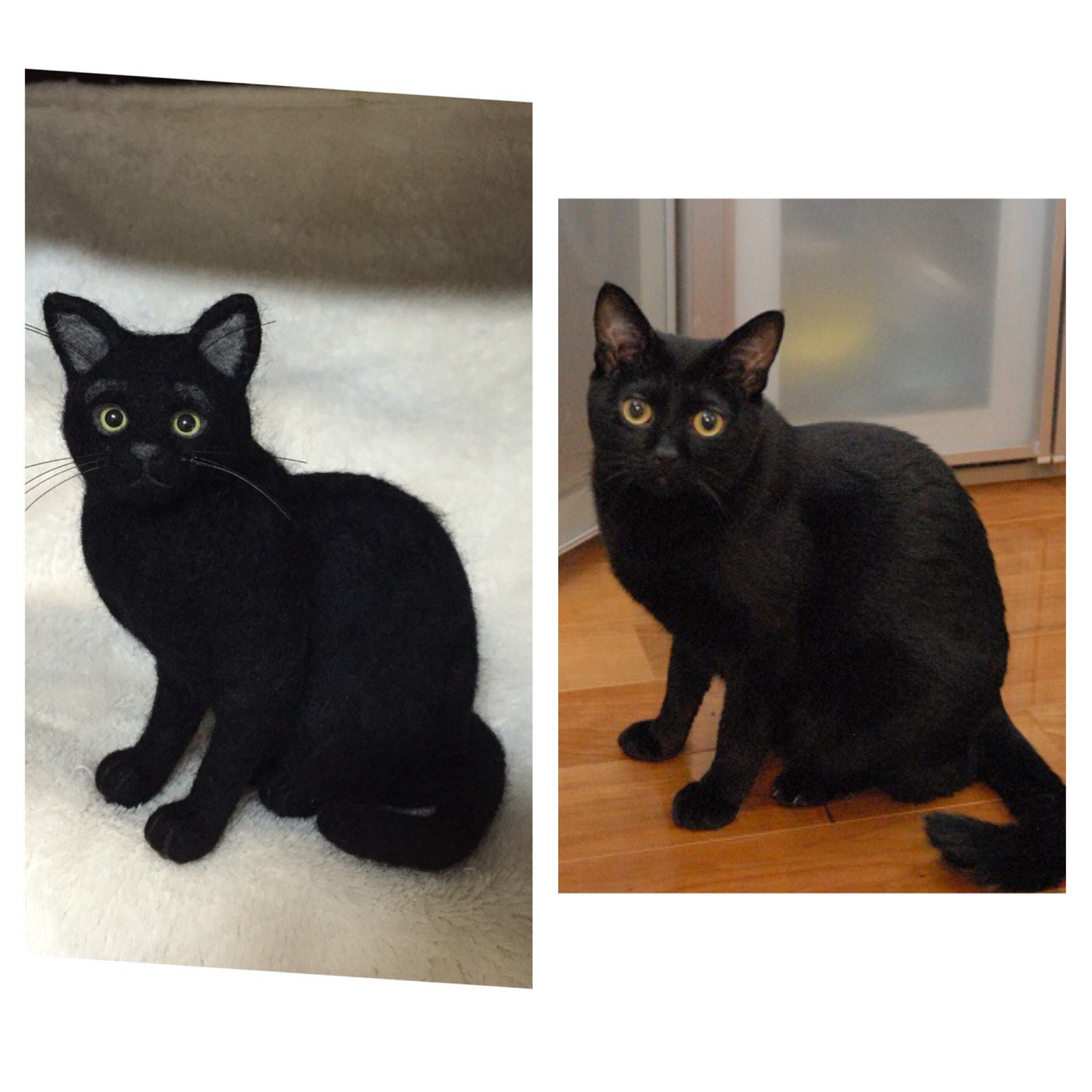 羊毛フェルト 猫 L L Lサイズ　オーダー　サンプルページ 羊毛フェルト 猫 L L Lサイズ オーダー サンプルページ 羊毛