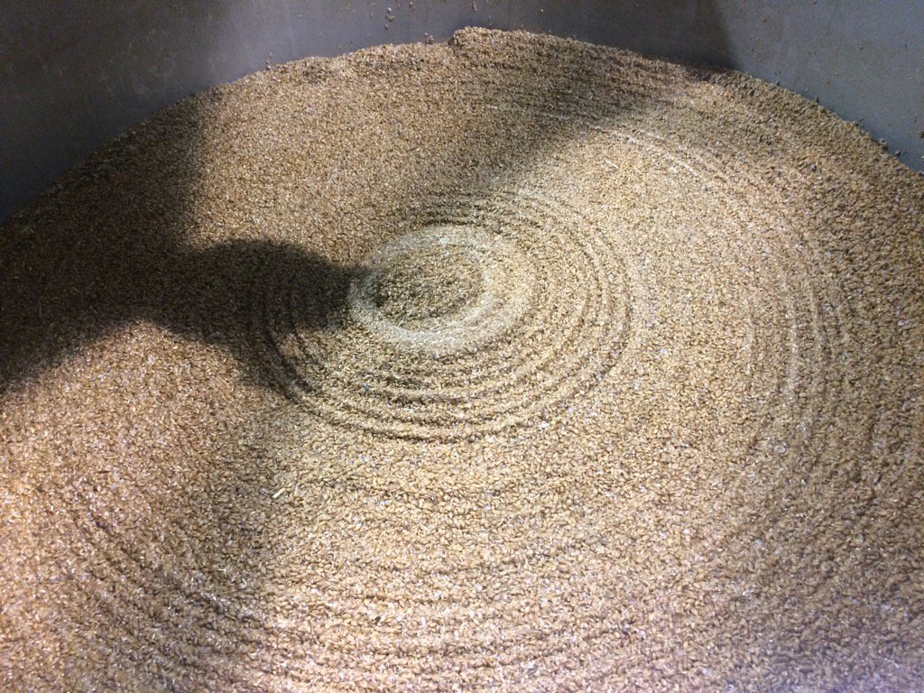 Alien crop circle or perfectly sparked grain bed? #lager #CraftBeer