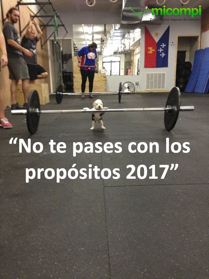 MicompiCom's tweet image. 