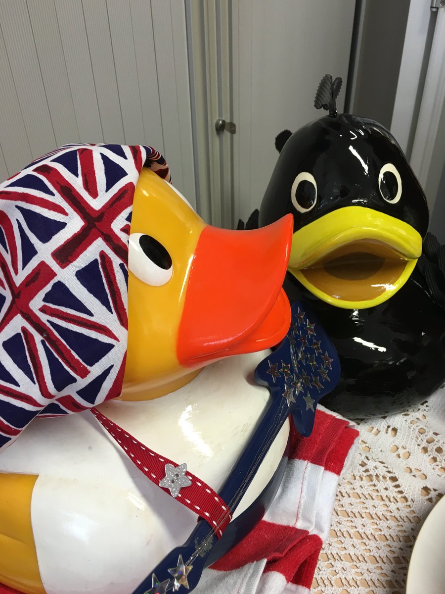 Mat the Rubber Duck tweet media