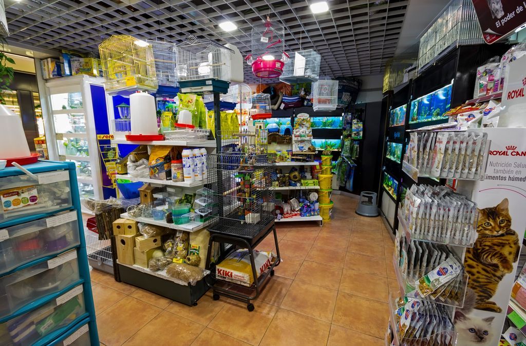 AxolotlLeon's tweet photo. ➡ Pequeños mamíferos
➡ Terrariofilia
➡ Canaricultura
➡ Aves de compañía
➡ Acuariofilia
🐰🐦🕷🐠🐭🐢🐶 ¡Ven a visitarnos! 🐰🐦🕷🐠🐭🐢🐶
#mascotas #Leonesp https://t.co/P4q5lxCjB2